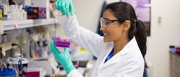 View Medical Science (Biomedical Science)